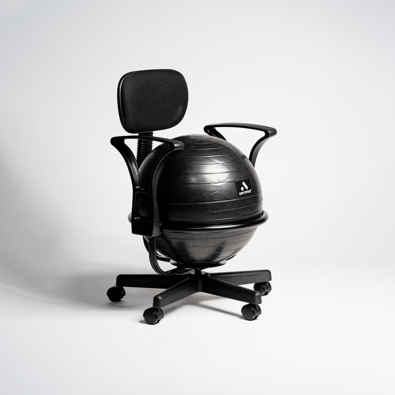 Symple Stuff Ball Chair Deluxe Black Steel Structure Reviews Wayfair Canada